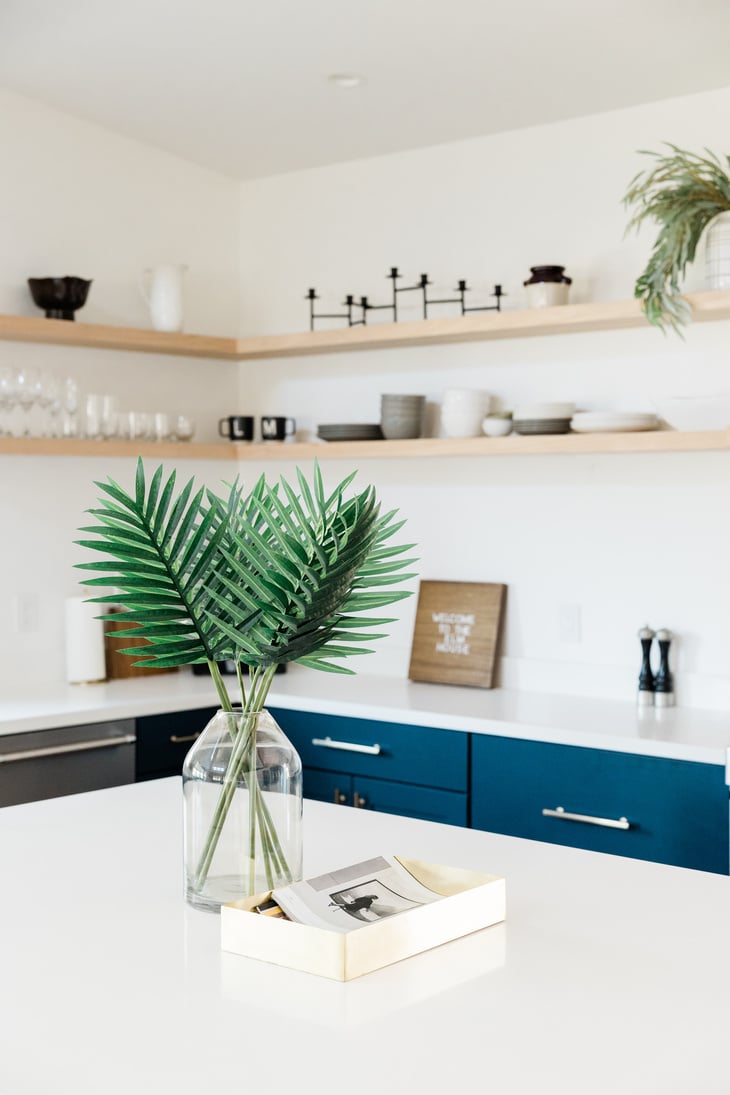 Houseplant on a Table in the Kitchen